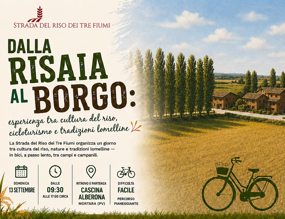 dalla risaia al borgo